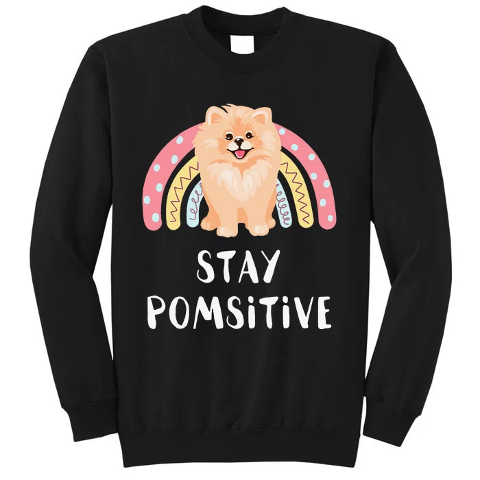 Funny Pom Pomeranian Lover Gift Tall Sweatshirt