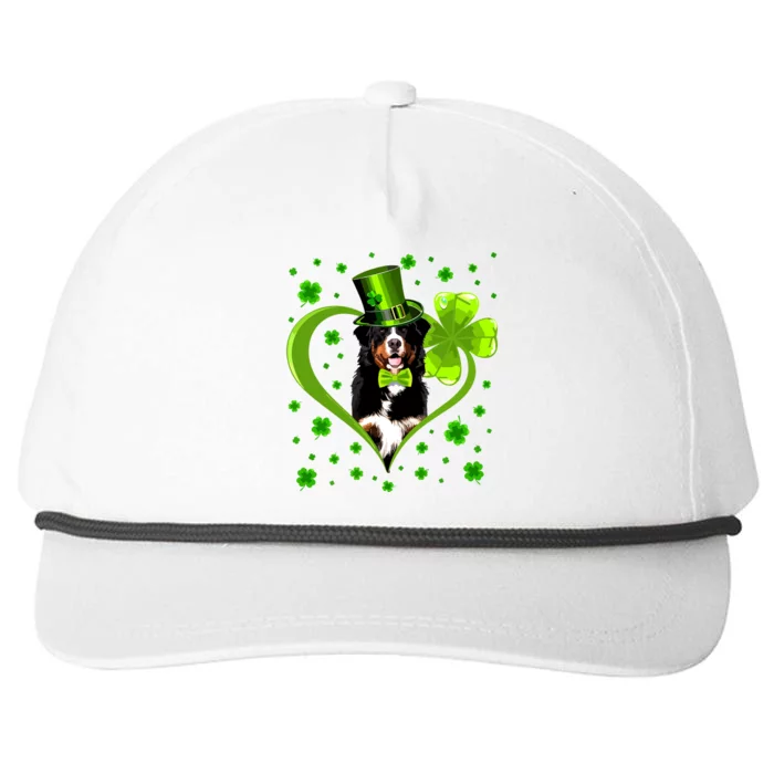 Funny Puppy Shamrock Bernese Mountain Dog St Patricks Day Premium Snapback Five-Panel Rope Hat