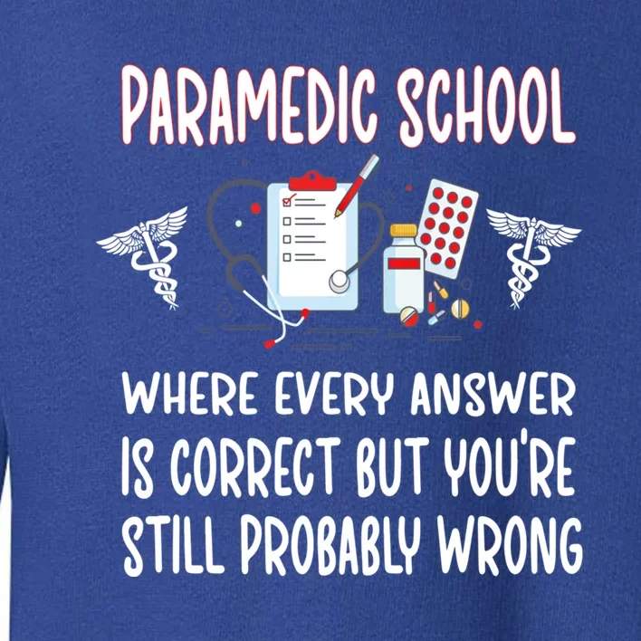 Funny Paramedic School Future Emt Student Emt School Gift Toddler Sweatshirt