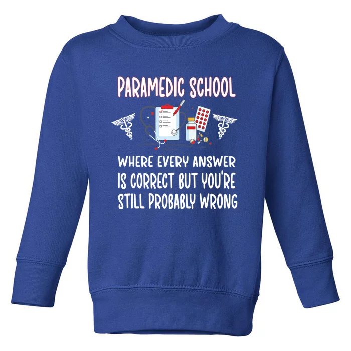 Funny Paramedic School Future Emt Student Emt School Gift Toddler Sweatshirt