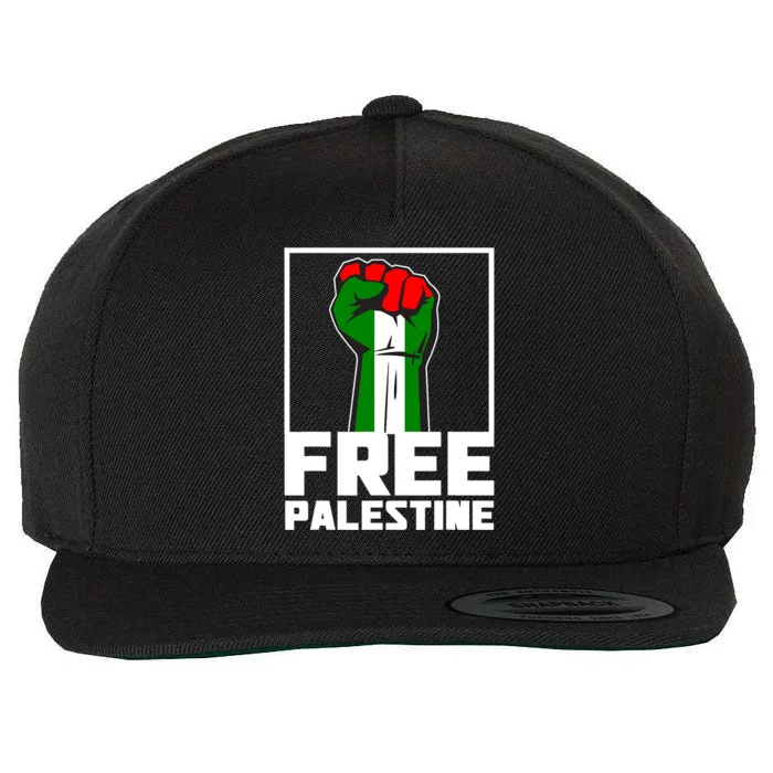 Free Palestine Support Palestine People Wool Snapback Cap