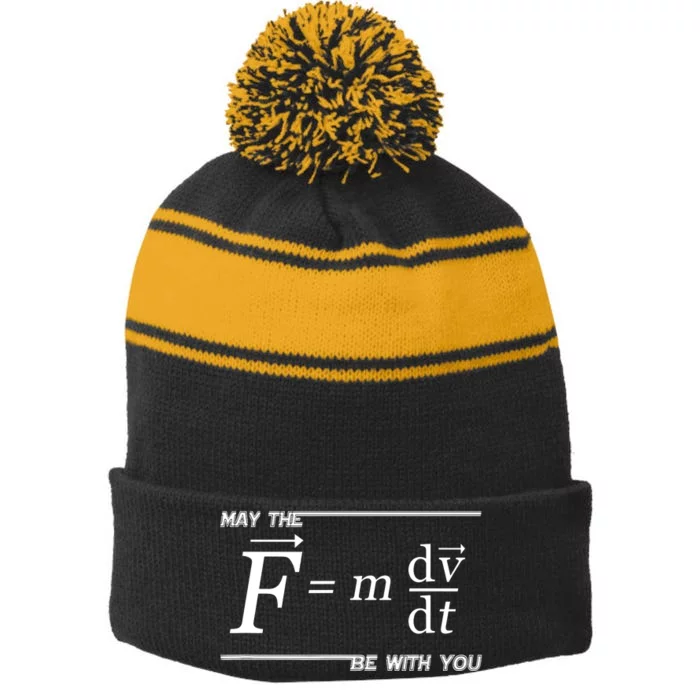 Funny Physics Science Stripe Pom Pom Beanie