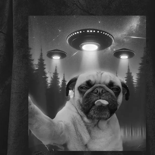 Funny Pug Selfie With Ufos Dog Dad Mom Boy Girl Hooded Wearable Blanket