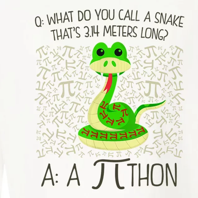 Funny Python Snake Pi Day Cropped Pullover Crew