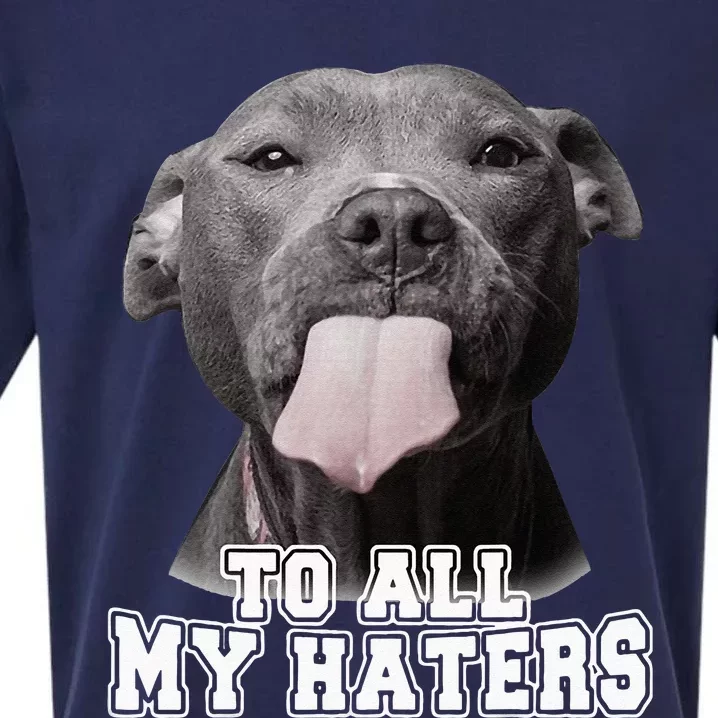 Funny Pitbull To All My Haters Pitbull Dog Lover Gift Sueded Cloud Jersey T-Shirt