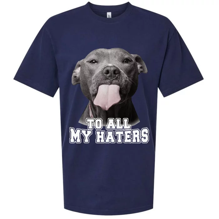 Funny Pitbull To All My Haters Pitbull Dog Lover Gift Sueded Cloud Jersey T-Shirt