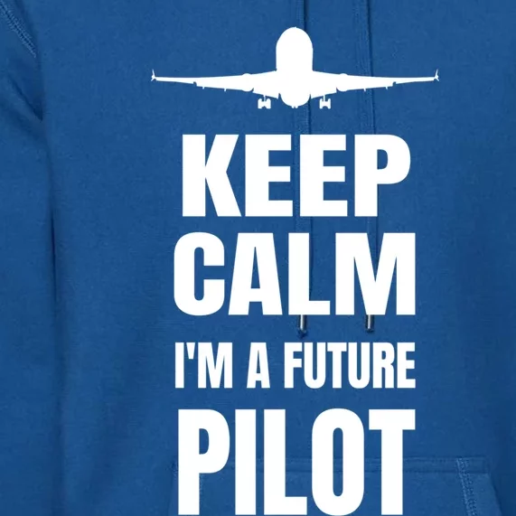 Future Pilot Tee Pilot In Progress Flight School Student Great Gift Premium Hoodie