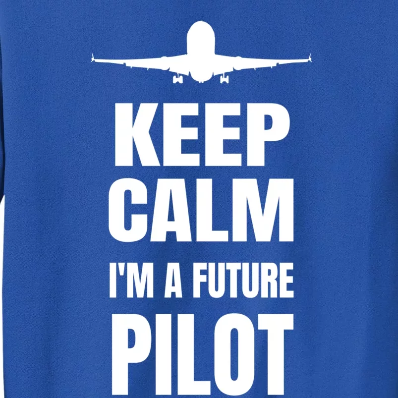 Future Pilot Tee Pilot In Progress Flight School Student Great Gift Tall Sweatshirt