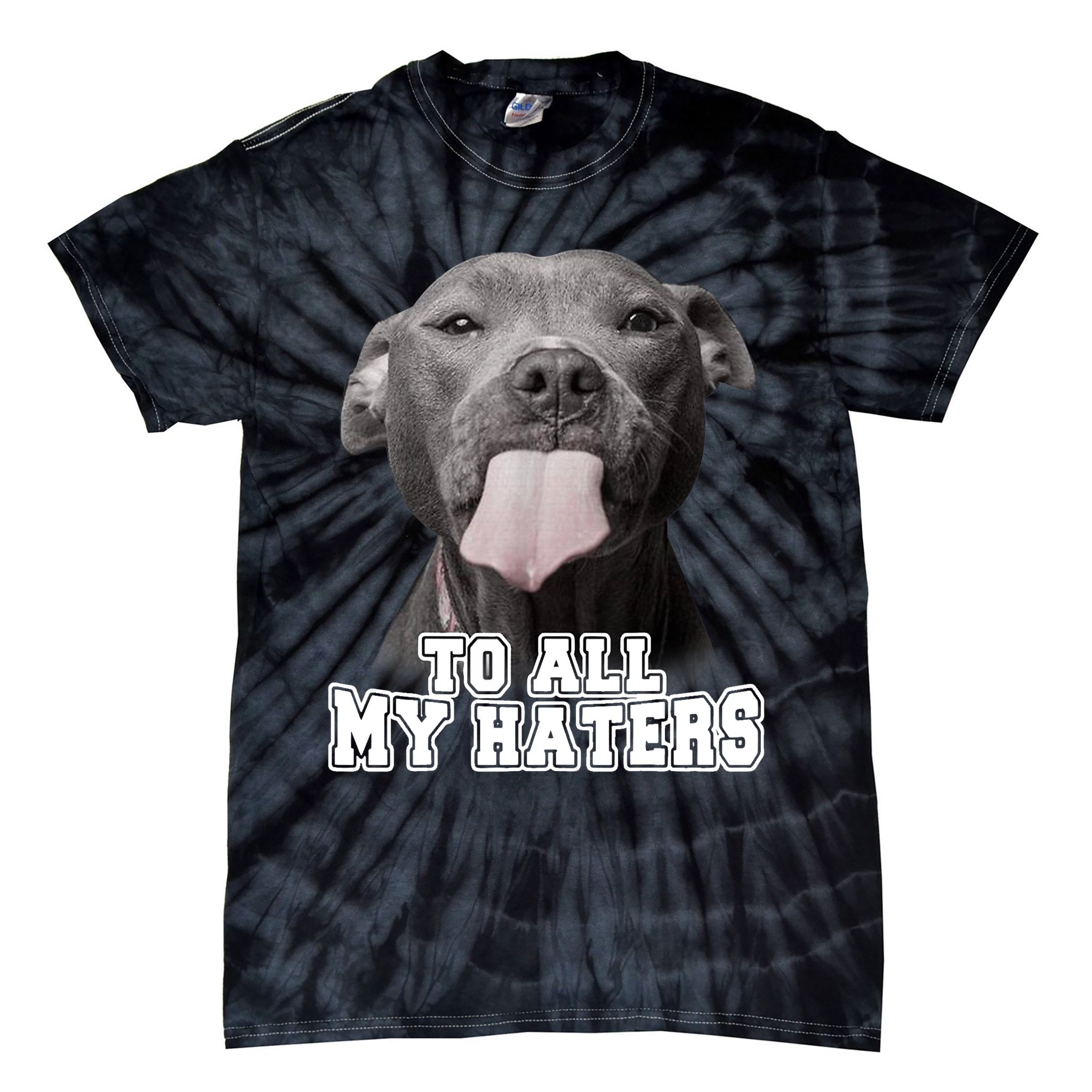 Funny Pitbull T-Shirt, Grumpy Pitbull Shirt, Pitbull Lovers