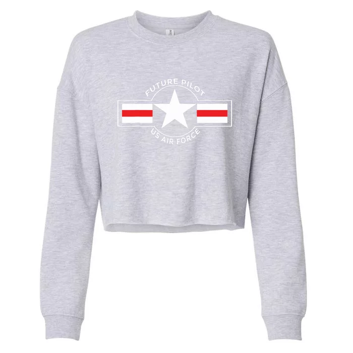 Future Pilot Vintage Cropped Pullover Crew