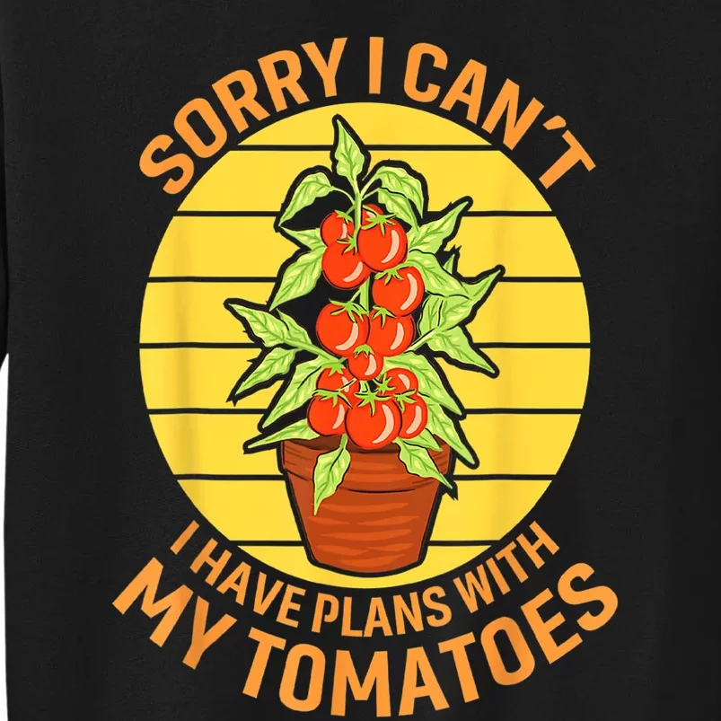 Funny Plan With Tomato Veggie Pun Tomatoes Vegetable Humor Sweatshirt