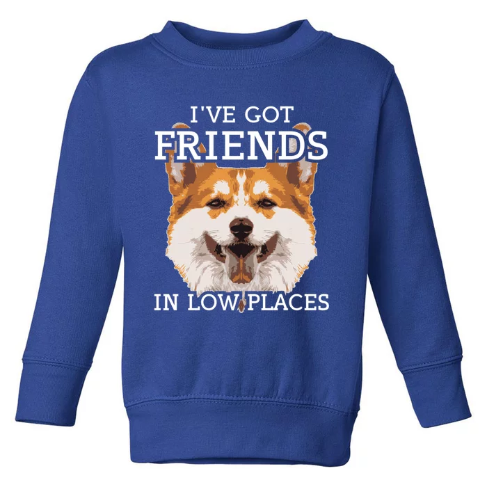 Funny Pembroke Welsh Corgi I've Got Friends In Low Places Cute Gift Toddler Sweatshirt