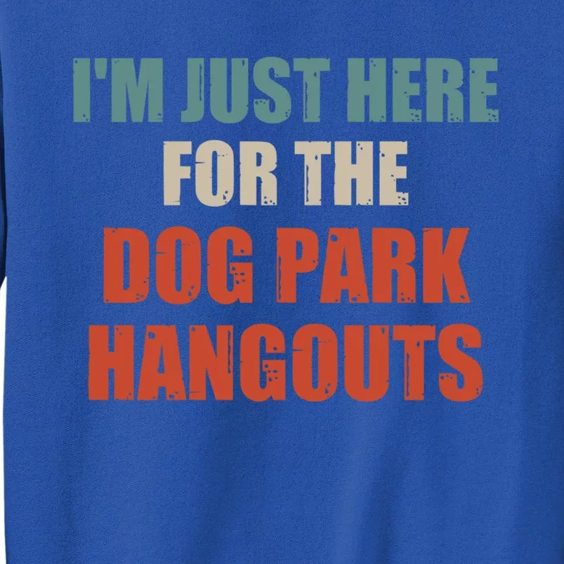 Funny Quote IM Just Here For The Dog Park Hangouts Cool Gift Tall Sweatshirt