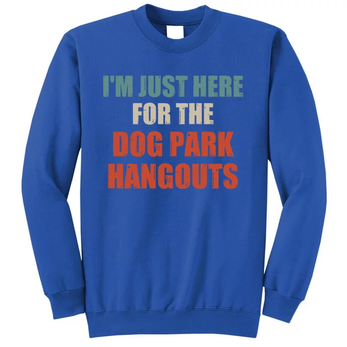 Funny Quote IM Just Here For The Dog Park Hangouts Cool Gift Tall Sweatshirt