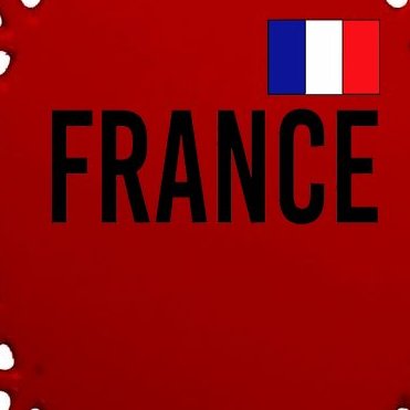 France Team Flag Logo Oval Ornament