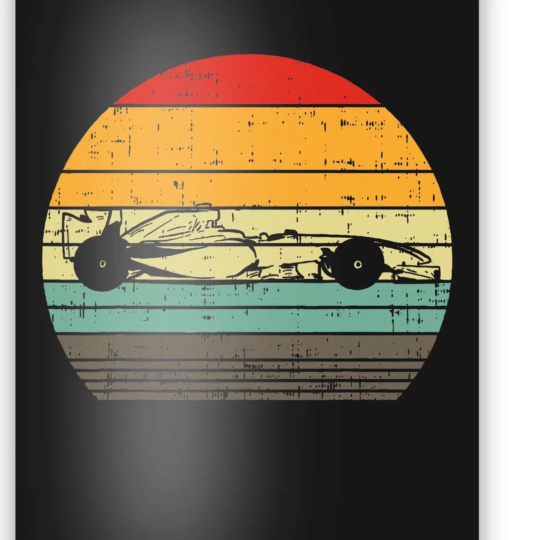 Formula Race Car Sunset Retro Driver Racing Fans Poster