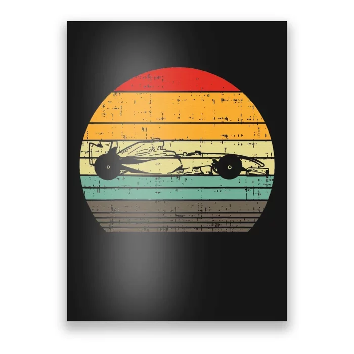 Formula Race Car Sunset Retro Driver Racing Fans Poster