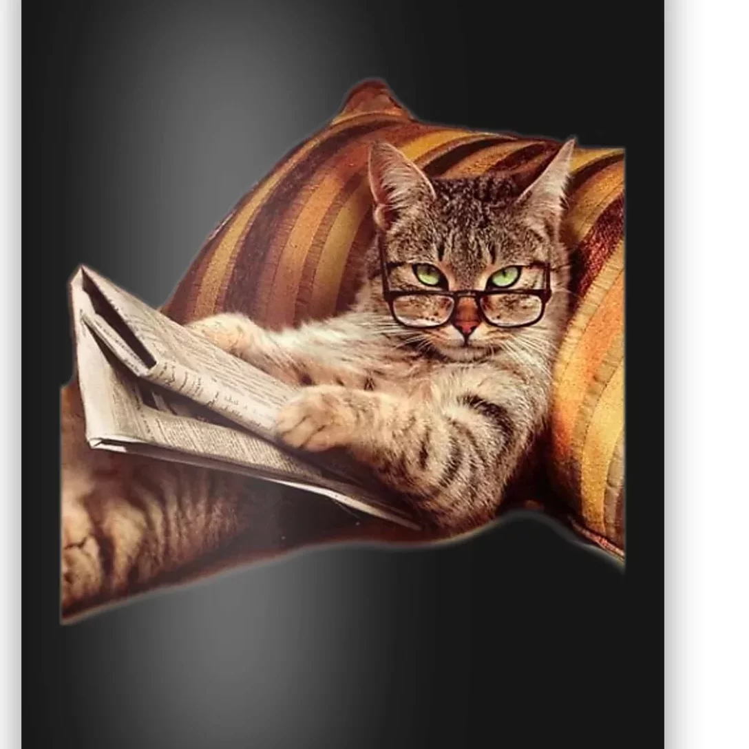 Funny Reading Cat Meme Internet Humor Book Poster