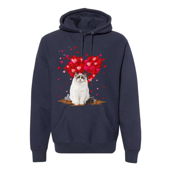 Funny Ragdoll Cat Animal Lover Ragdoll Cat Valentine's Day Premium Hoodie