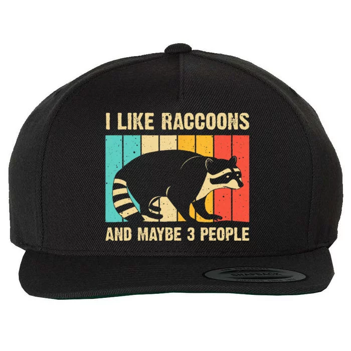 Funny Raccoon Design For  Raccoon Lover Introvert Wool Snapback Cap