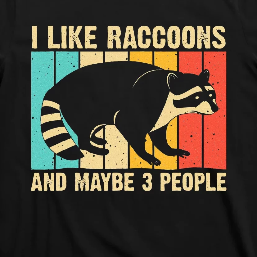 Funny Raccoon Design For Men Women Raccoon Lover Introvert T-Shirt