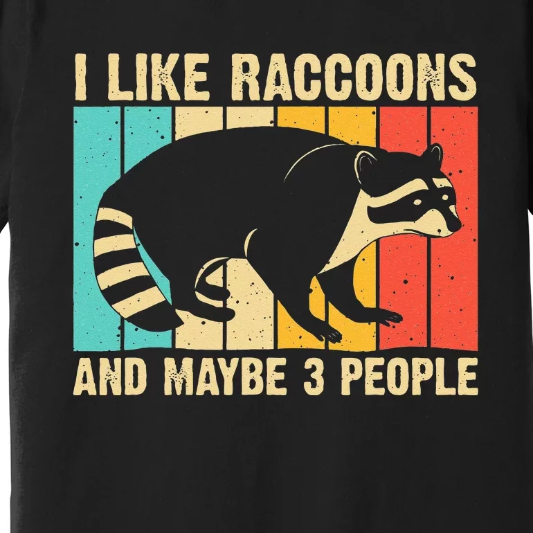 Funny Raccoon Design For Men Women Raccoon Lover Introvert Premium T-Shirt