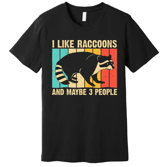 Funny Raccoon Design For Men Women Raccoon Lover Introvert Premium T-Shirt