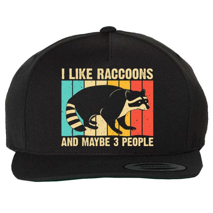 Funny Raccoon Design For Men Women Raccoon Lover Introvert Wool Snapback Cap