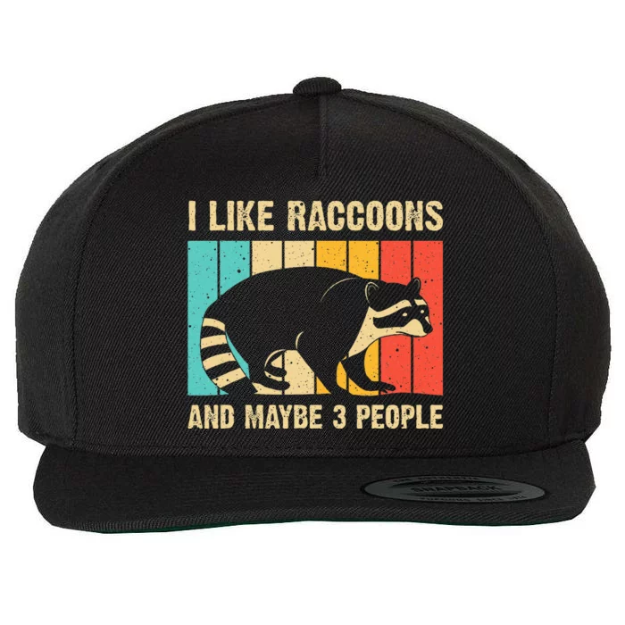 Funny Raccoon Design For Women Raccoon Lover Wool Snapback Cap