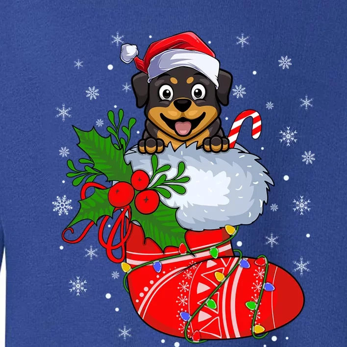 Funny Rottweiler Dog In Christmas Sock Santa Rottweiler Xmas Gift Toddler Sweatshirt