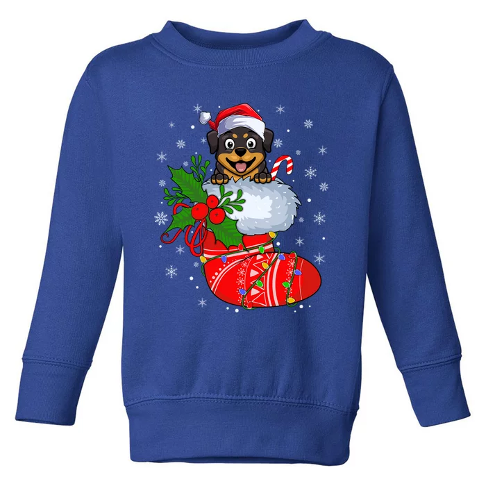 Funny Rottweiler Dog In Christmas Sock Santa Rottweiler Xmas Gift Toddler Sweatshirt