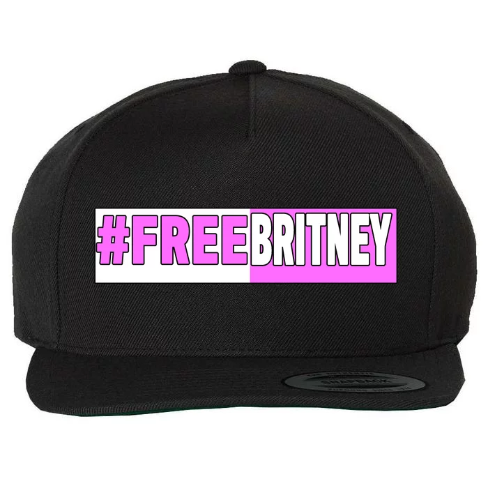 Free Britney Help Save Her Wool Snapback Cap