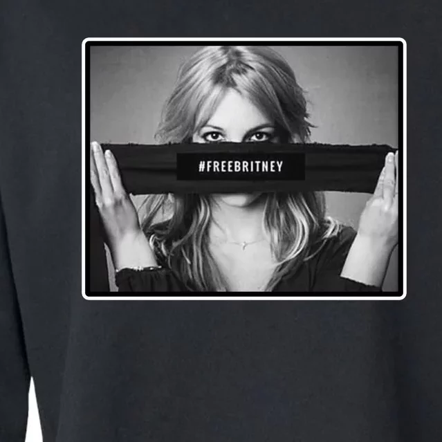 Free Britney Photo Support Cropped Pullover Crew