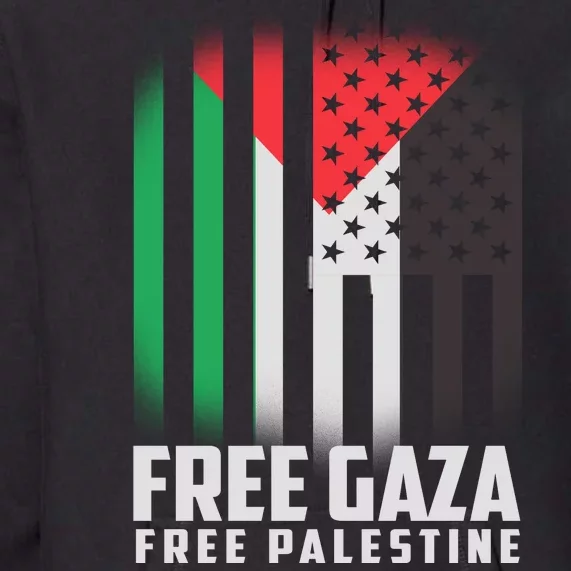 Free Gaza Free Palestine US Palestine Flag colors Premium Hoodie