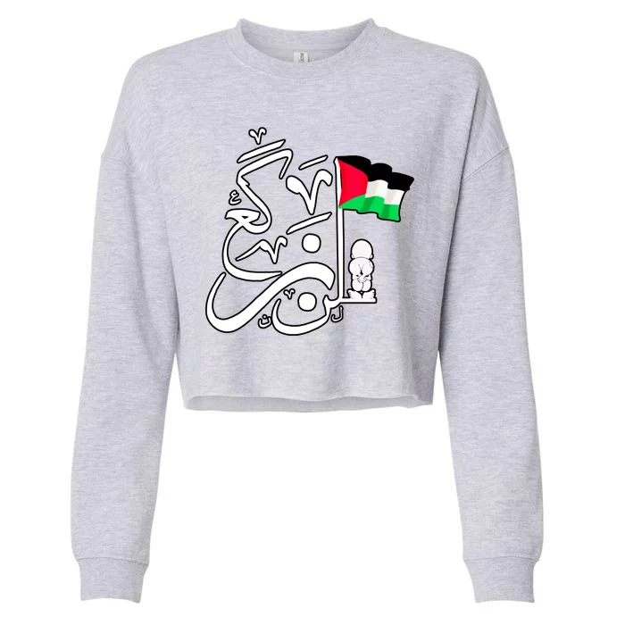 Free Palestine Arabic Calligraphy Palestinian Flag Cropped Pullover Crew