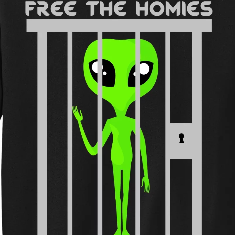 Free The Aliens Storm Area 51 Tall Sweatshirt