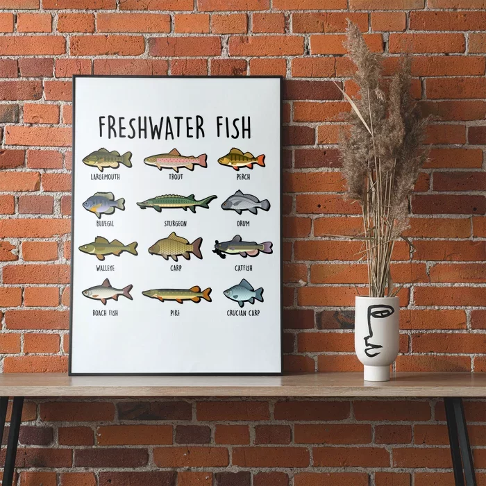 Freshwater Fish - 100 Different Types Poster