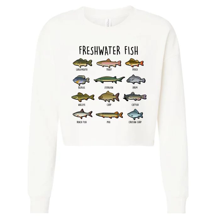 Freshwater Fish - 100 Different Types Cropped Pullover Crew