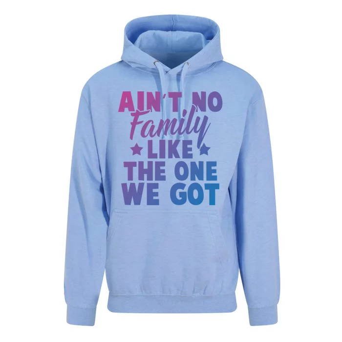 Family Reunion Family Connection No Family Like One We Got Funny Gift Unisex Surf Hoodie