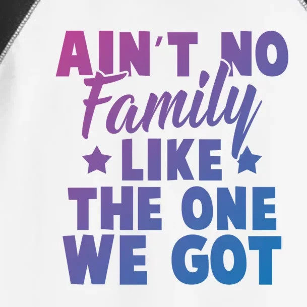 Family Reunion Family Connection No Family Like One We Got Funny Gift Toddler Fine Jersey T-Shirt