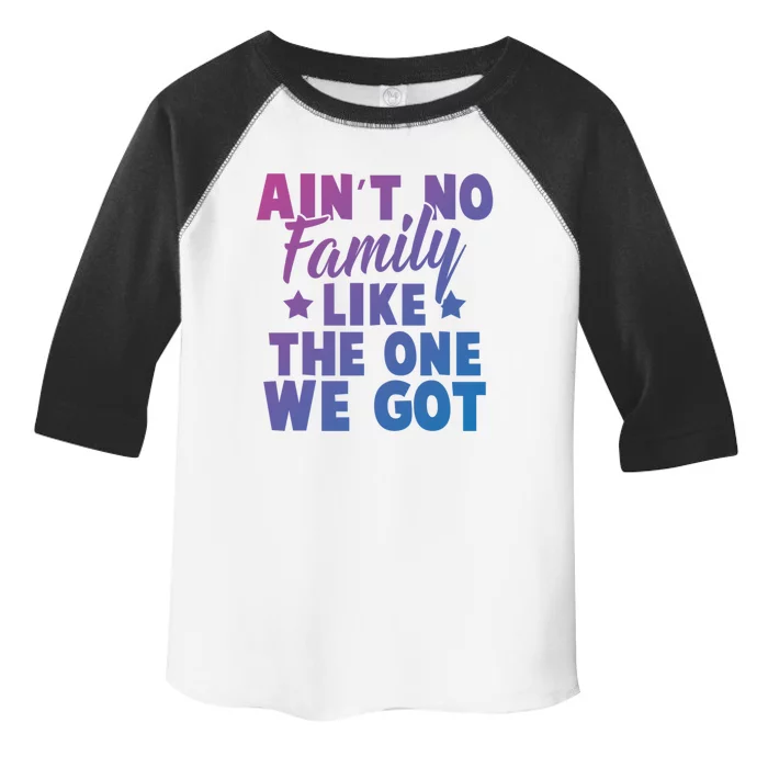 Family Reunion Family Connection No Family Like One We Got Funny Gift Toddler Fine Jersey T-Shirt