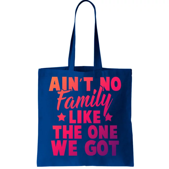 Family Reunion Family Connection No Family Like One We Got Funny Gift Tote Bag