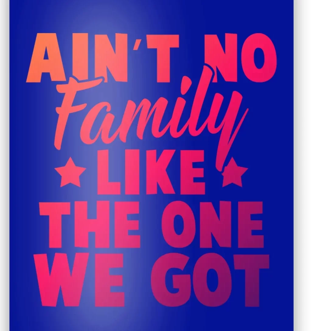 Family Reunion Family Connection No Family Like One We Got Funny Gift Poster