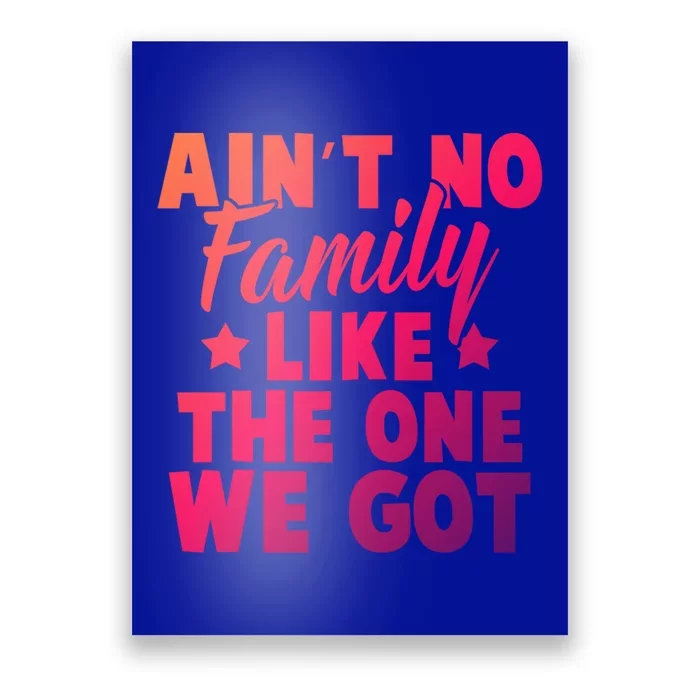 Family Reunion Family Connection No Family Like One We Got Funny Gift Poster