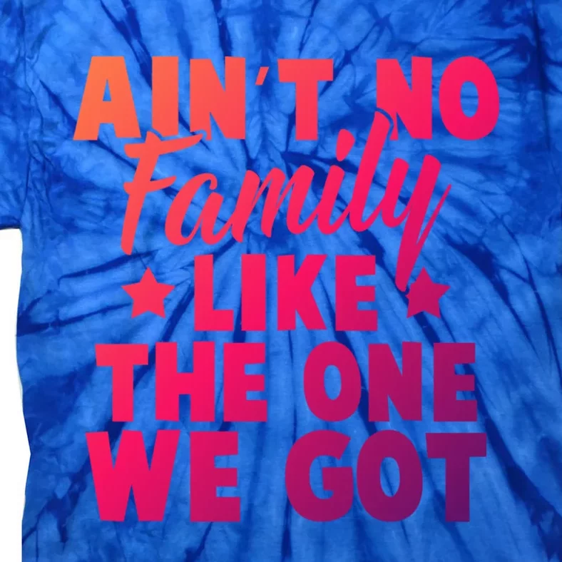 Family Reunion Family Connection No Family Like One We Got Funny Gift Tie-Dye T-Shirt