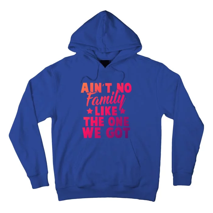 Family Reunion Family Connection No Family Like One We Got Funny Gift Tall Hoodie