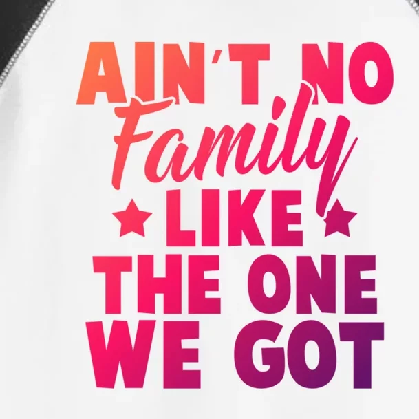 Family Reunion Family Connection No Family Like One We Got Funny Gift Toddler Fine Jersey T-Shirt