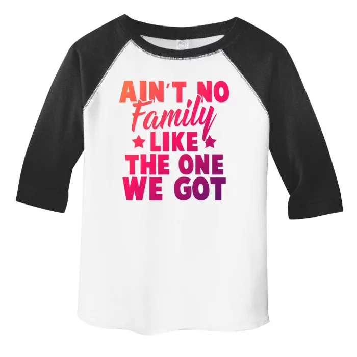 Family Reunion Family Connection No Family Like One We Got Funny Gift Toddler Fine Jersey T-Shirt