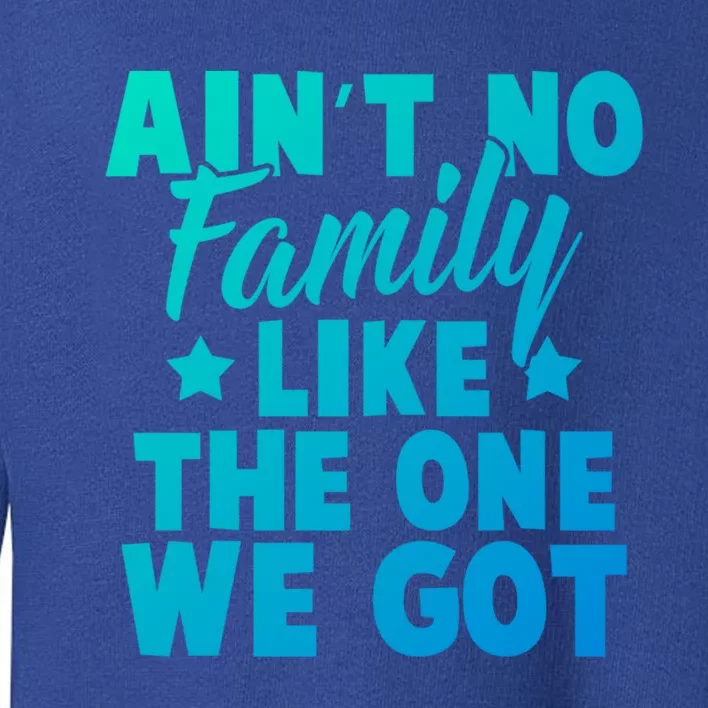 Family Reunion Family Connection No Family Like One We Got Funny Gift Toddler Sweatshirt