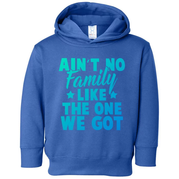 Family Reunion Family Connection No Family Like One We Got Funny Gift Toddler Hoodie